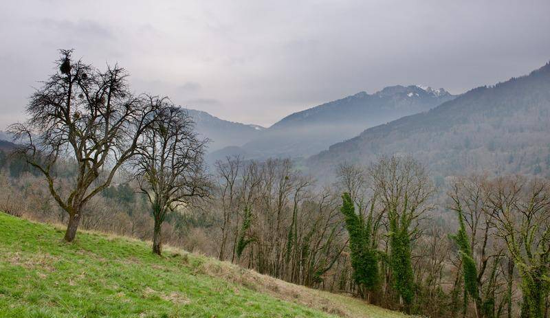 Terrain seul à Féternes en Haute-Savoie (74) de 808 m² à vendre au prix de 160000€ - 3
