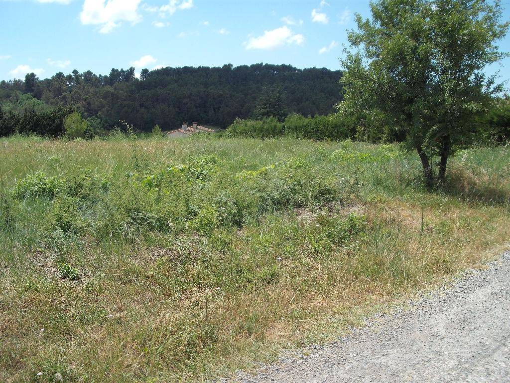 Terrain seul à Villeneuve-Minervois en Aude (11) de 1722 m² à vendre au prix de 84900€ - 3