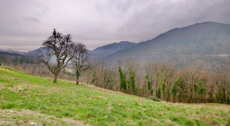 Terrain seul à Féternes en Haute-Savoie (74) de 808 m² à vendre au prix de 160000€ - 2