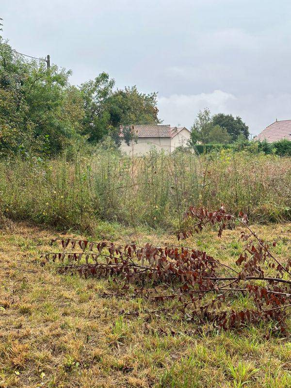 Terrain seul à Lessard-en-Bresse en Saône-et-Loire (71) de 1684 m² à vendre au prix de 44500€ - 3