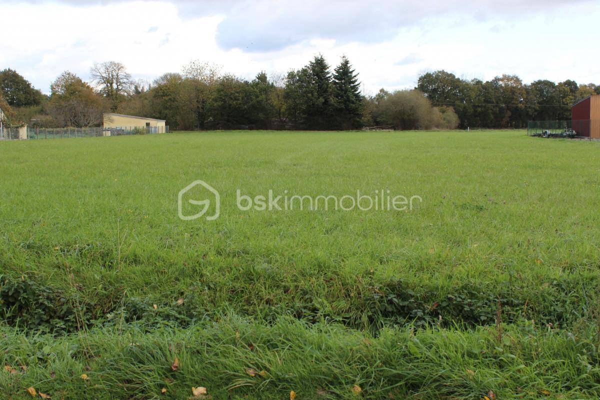 Terrain seul à Mauron en Morbihan (56) de 4000 m² à vendre au prix de 34000€ - 1