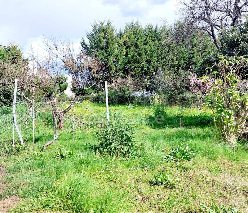 Terrain seul à San-Nicolao en Haute-Corse (2B) de 1171 m² à vendre au prix de 162000€ - 2