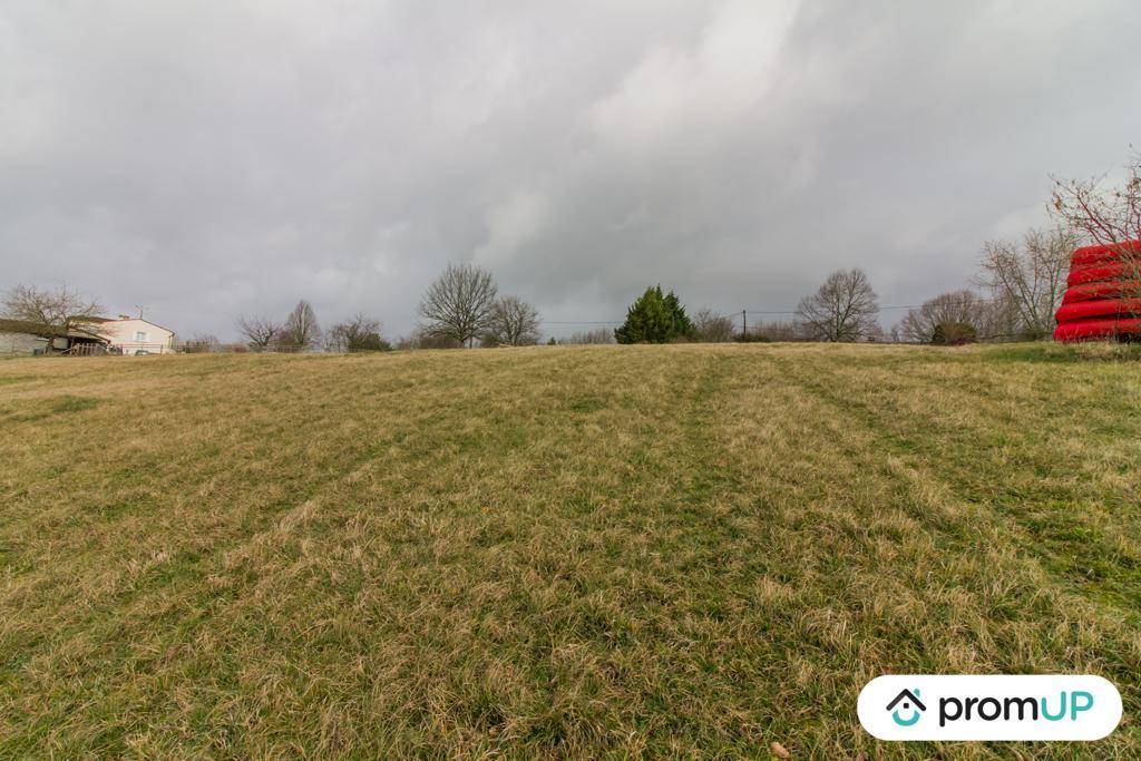 Terrain seul à Peyzac-le-Moustier en Dordogne (24) de 3000 m² à vendre au prix de 63000€ - 4