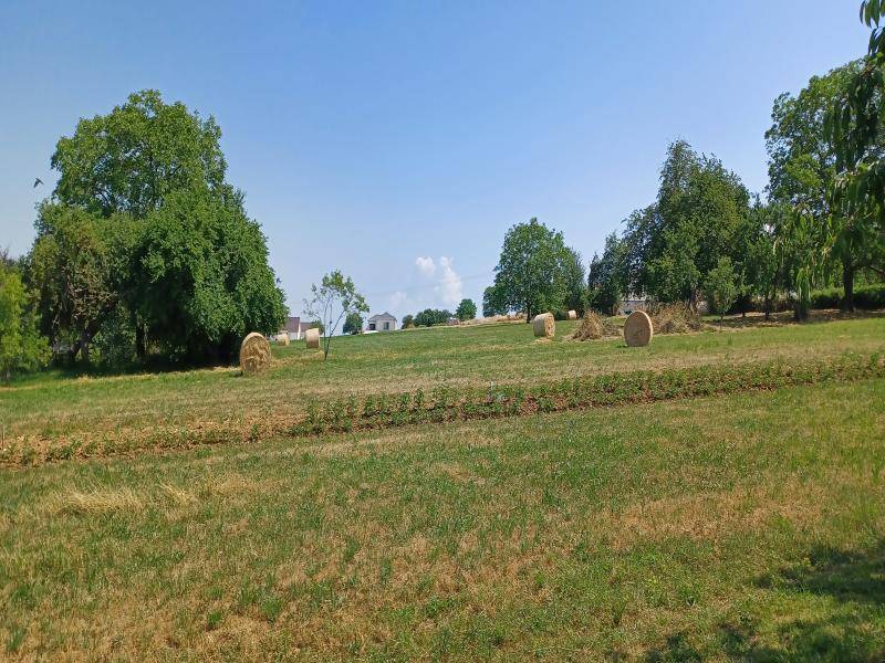 Terrain seul à Velesmes-Échevanne en Haute-Saône (70) de 1655 m² à vendre au prix de 54500€ - 4