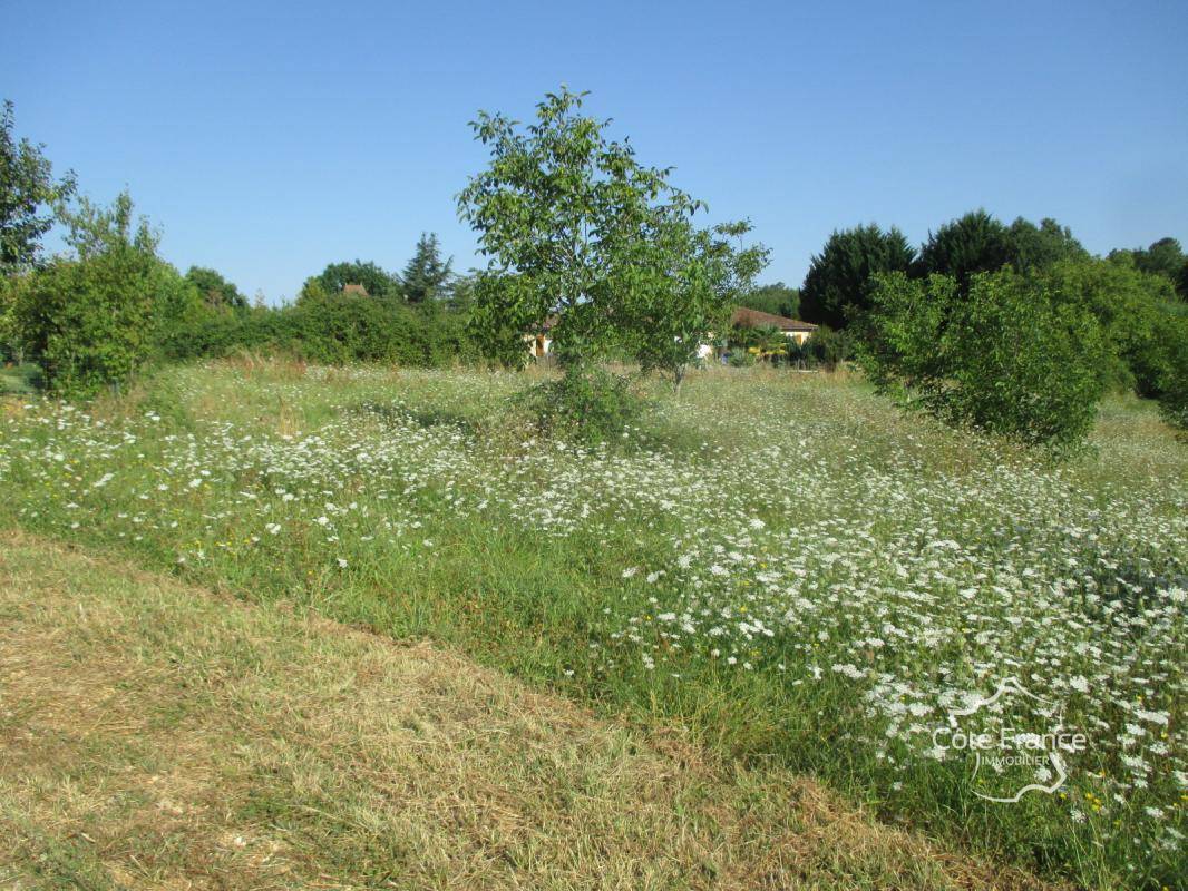 Terrain seul à Coux et Bigaroque-Mouzens en Dordogne (24) de 3445 m² à vendre au prix de 45000€ - 1