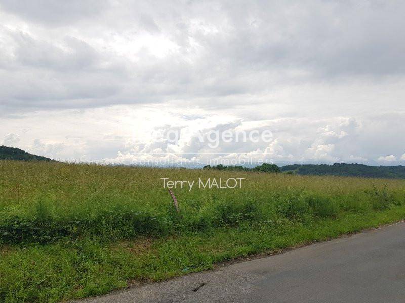 Terrain seul à Ozon en Hautes-Pyrénées (65) de 2413 m² à vendre au prix de 78000€ - 4