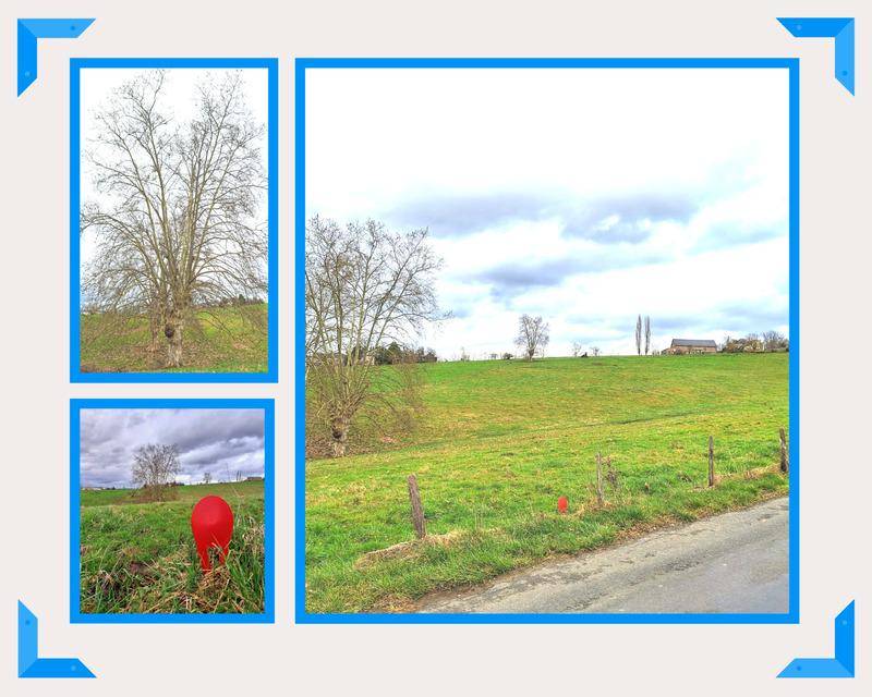 Terrain seul à Malemort en Corrèze (19) de 1500 m² à vendre au prix de 46700€ - 4