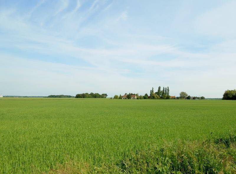 Terrain seul à La Selle-sur-le-Bied en Loiret (45) de 1148 m² à vendre au prix de 29900€ - 4