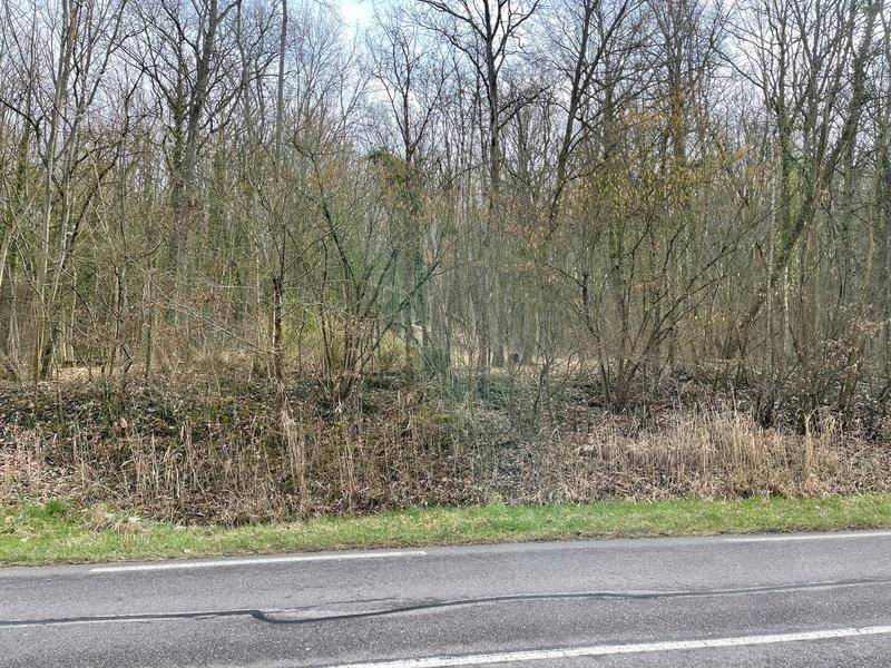 Terrain seul à Malroy en Moselle (57) de 61797 m² à vendre au prix de 190000€ - 1