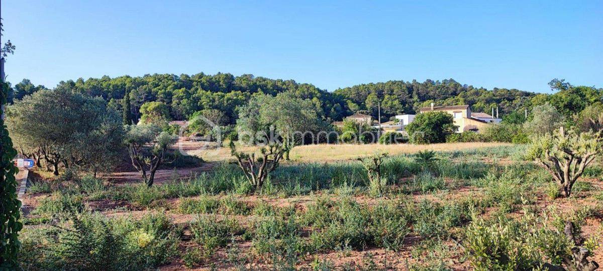 Terrain seul à Gignac en Hérault (34) de 2000 m² à vendre au prix de 342000€ - 1