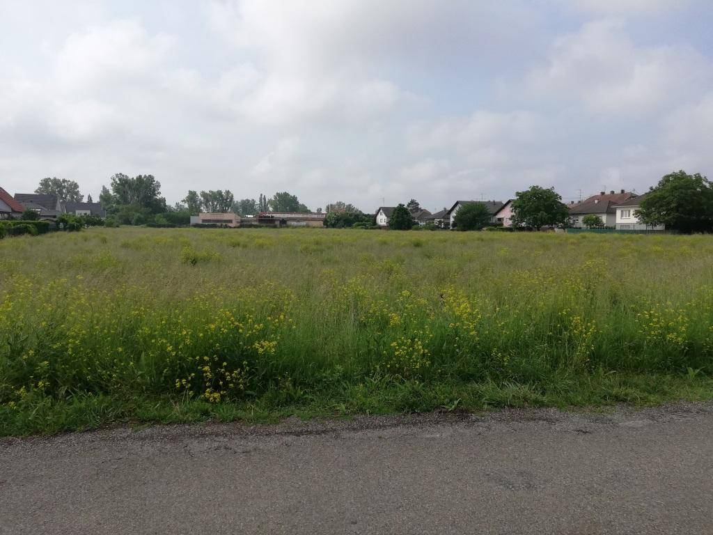 Terrain seul à Cernay en Haut-Rhin (68) de 449 m² à vendre au prix de 104400€ - 2