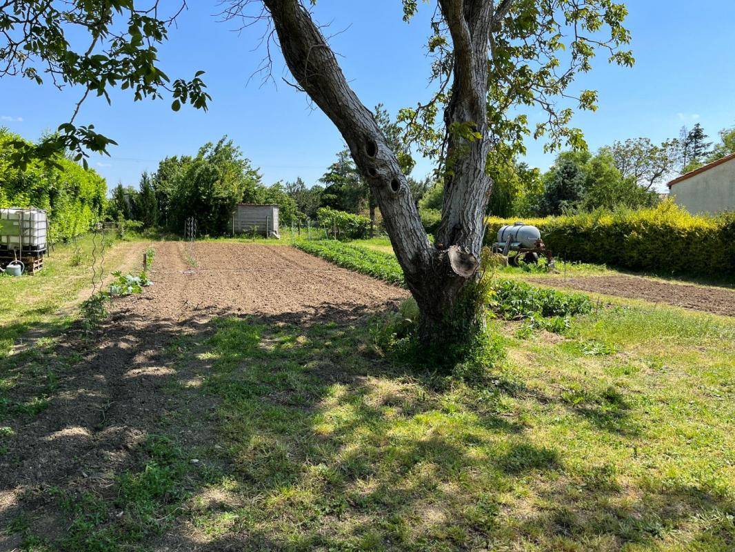 Terrain seul à Taugon en Charente-Maritime (17) de 635 m² à vendre au prix de 38500€ - 1