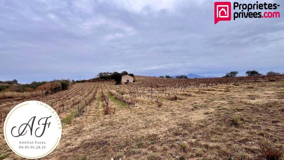 Terrain seul à Passa en Pyrénées-Orientales (66) de 73000 m² à vendre au prix de 65300€ - 1