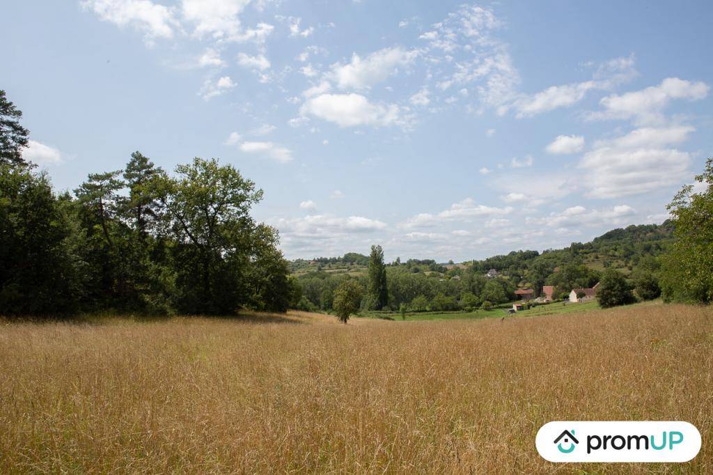 Terrain seul à Meyssac en Corrèze (19) de 9179 m² à vendre au prix de 163000€ - 3