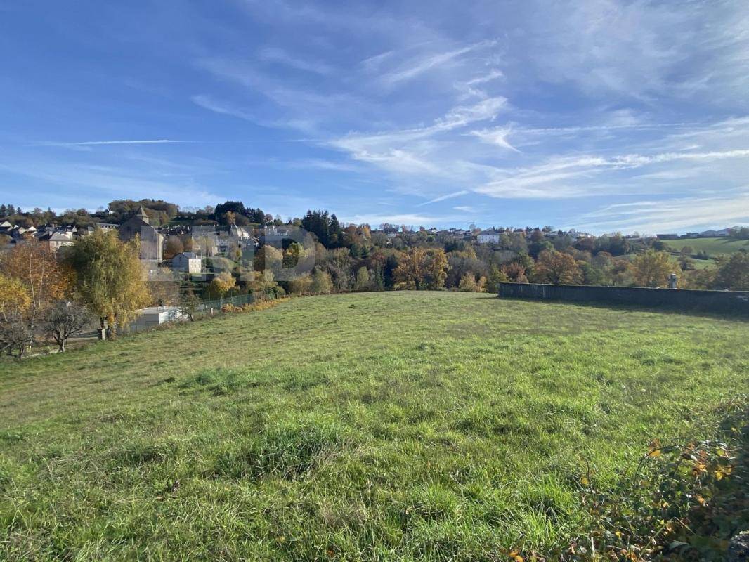Terrain seul à Rieupeyroux en Aveyron (12) de 9842 m² à vendre au prix de 106500€ - 3