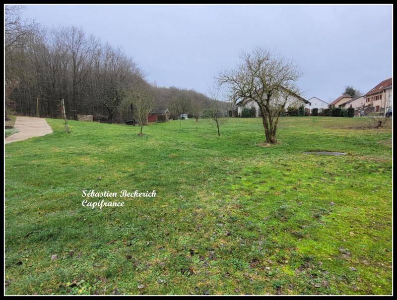 Terrain seul à Ippling en Moselle (57) de 1000 m² à vendre au prix de 85000€ - 4