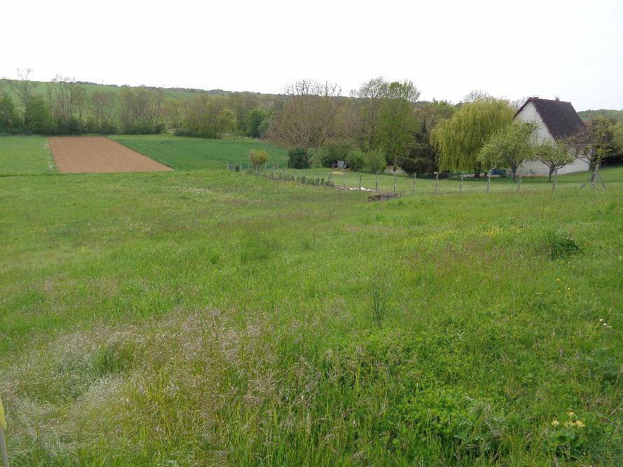 Terrain seul à Escamps en Yonne (89) de 984 m² à vendre au prix de 24000€ - 3