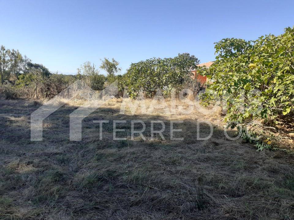 Terrain seul à Pompertuzat en Haute-Garonne (31) de 550 m² à vendre au prix de 165000€ - 1