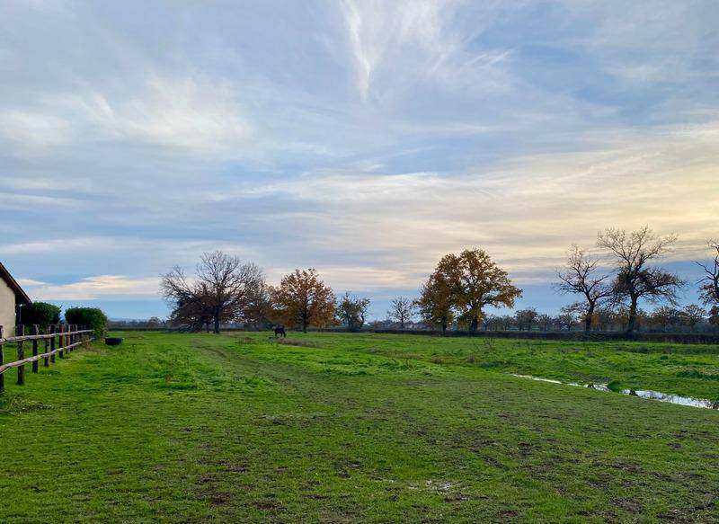 Terrain seul à Vitry-en-Charollais en Saône-et-Loire (71) de 1200 m² à vendre au prix de 28000€ - 3