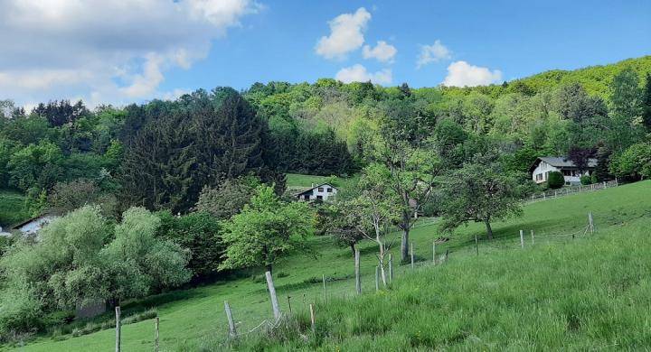 Programme terrain + maison à Willer-sur-Thur en Haut-Rhin (68) de 400 m² à vendre au prix de 249900€ - 3