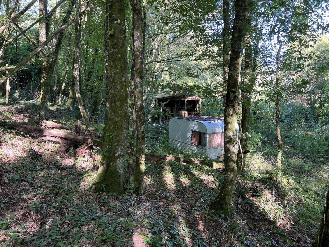 Terrain seul à Brive-la-Gaillarde en Corrèze (19) de 14696 m² à vendre au prix de 66000€ - 3
