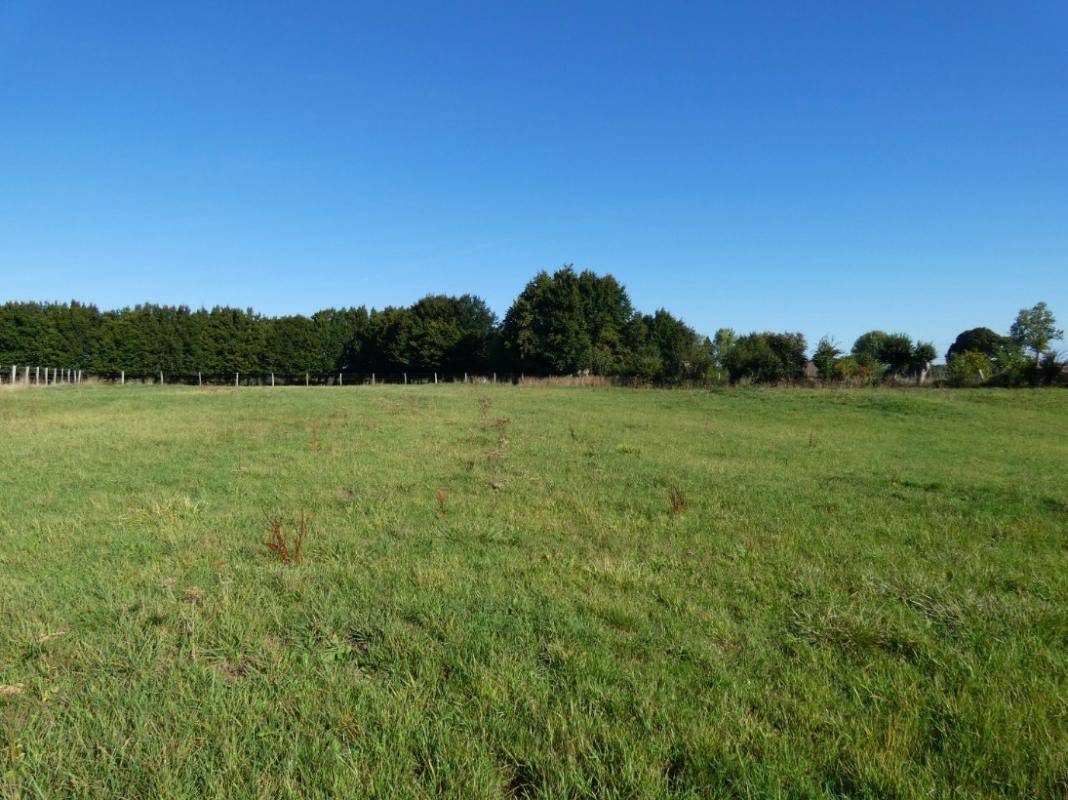 Terrain seul à Avesnes-le-Comte en Pas-de-Calais (62) de 2251 m² à vendre au prix de 58000€
