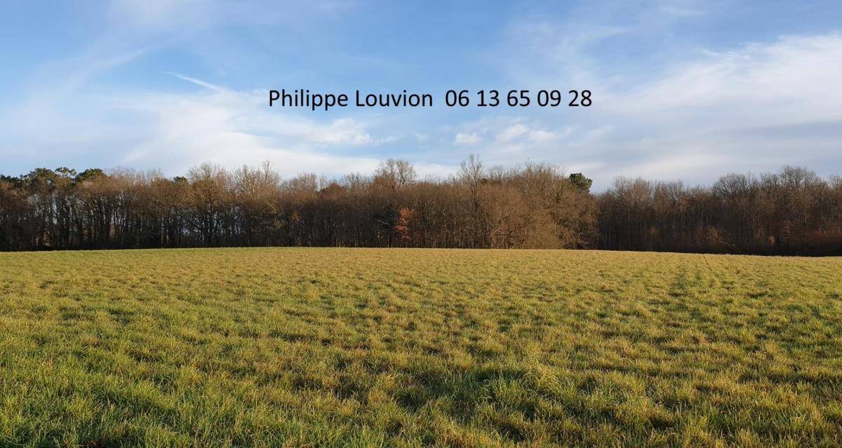 Terrain seul à Monségur en Gironde (33) de 47300 m² à vendre au prix de 34900€ - 1