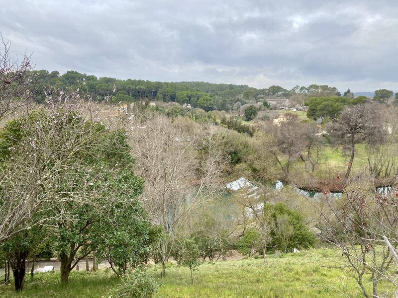 Terrain seul à Castelnau-le-Lez en Hérault (34) de 764 m² à vendre au prix de 780000€ - 1