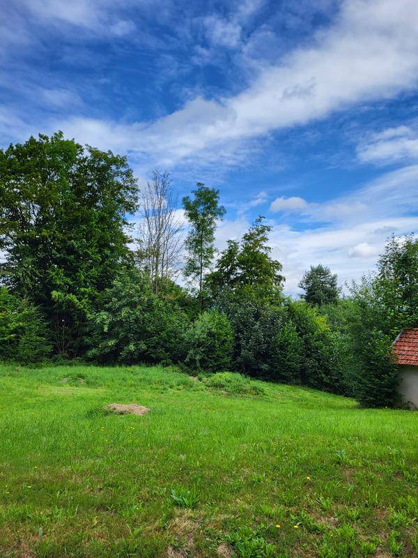Terrain seul à Anould en Vosges (88) de 1602 m² à vendre au prix de 53000€ - 3