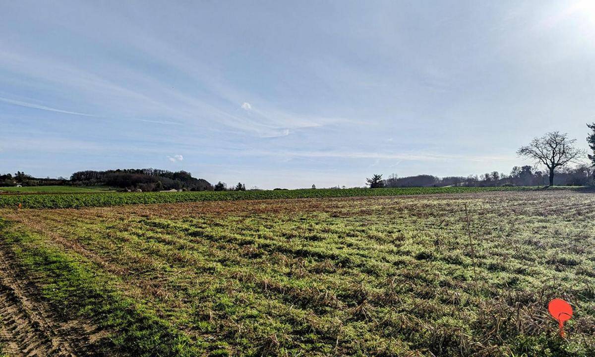 Terrain seul à Saint-Georges en Lot-et-Garonne (47) de 27282 m² à vendre au prix de 98000€ - 2