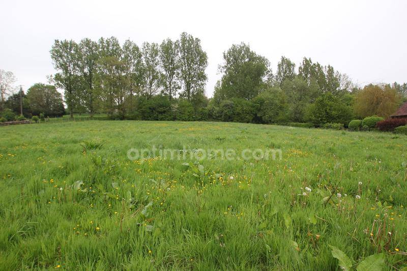 Terrain seul à Wavrans-sur-Ternoise en Pas-de-Calais (62) de 4639 m² à vendre au prix de 65000€ - 2
