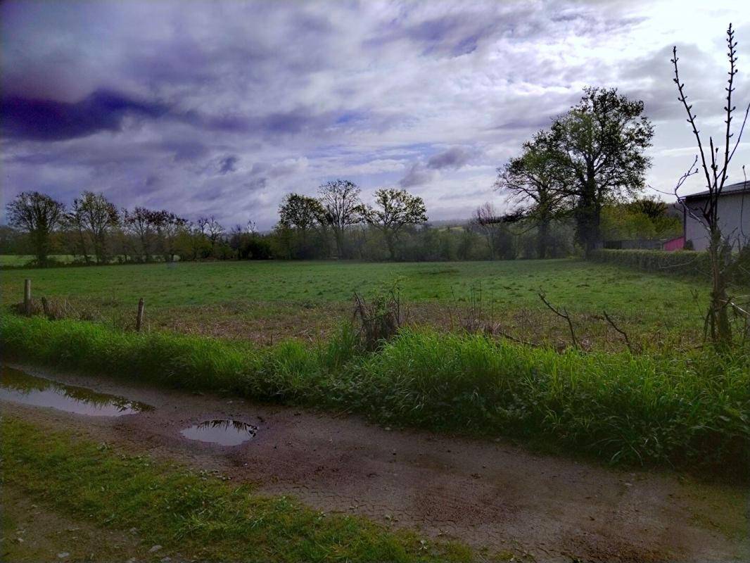 Terrain seul à Chassenon en Charente (16) de 2500 m² à vendre au prix de 24000€ - 3