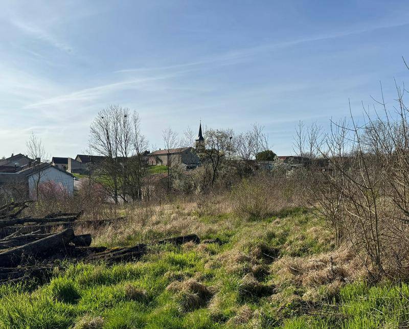Terrain seul à Lunéville en Meurthe-et-Moselle (54) de 2172 m² à vendre au prix de 59000€ - 3