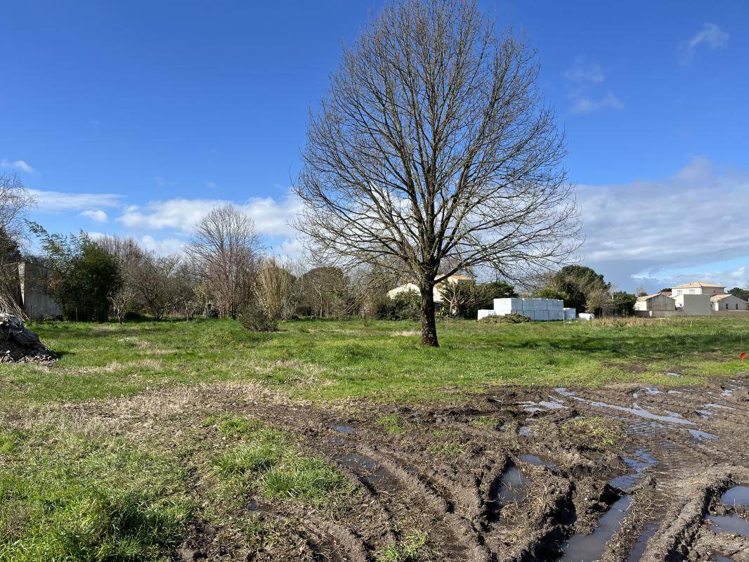 Terrain seul à Arvert en Charente-Maritime (17) de 762 m² à vendre au prix de 145360€ - 1