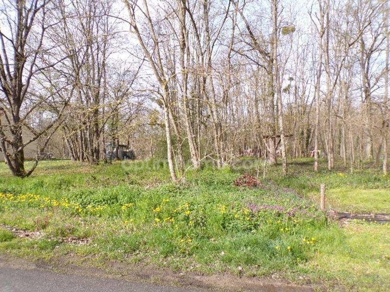 Terrain seul à Beaulieu-sur-Loire en Loiret (45) de 1540 m² à vendre au prix de 18500€ - 2