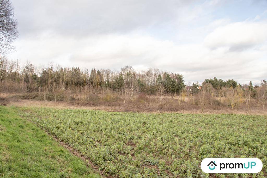 Terrain seul à Sorel-en-Vimeu en Somme (80) de 9470 m² à vendre au prix de 153000€ - 4