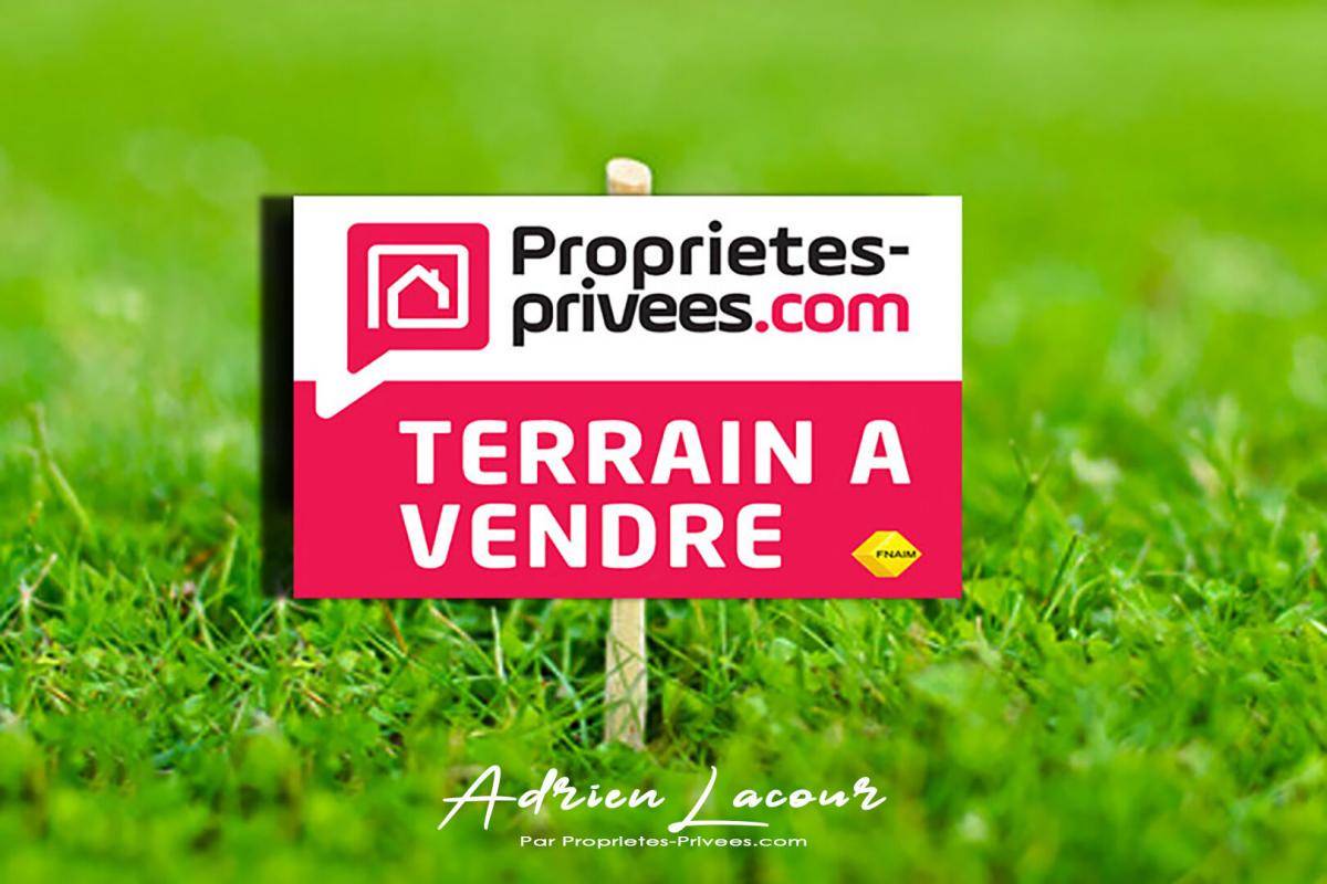 Terrain seul à Pruniers-en-Sologne en Loir-et-Cher (41) de 1009 m² à vendre au prix de 32990€ - 1