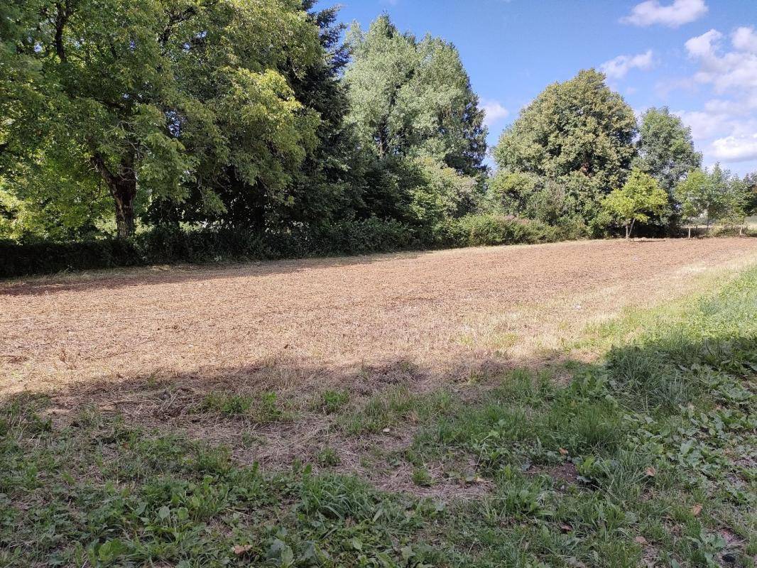 Terrain seul à Montsalvy en Cantal (15) de 1110 m² à vendre au prix de 28000€ - 4