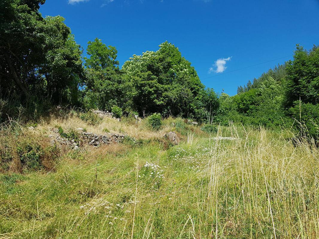 Terrain seul à Colmars en Alpes-de-Haute-Provence (04) de 1000 m² à vendre au prix de 64500€ - 1