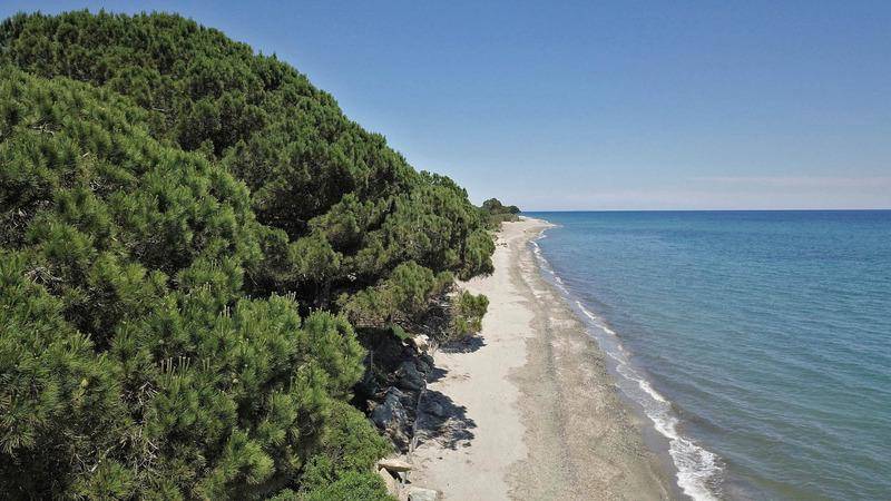 Terrain seul à Cervione en Haute-Corse (2B) de 602 m² à vendre au prix de 250000€