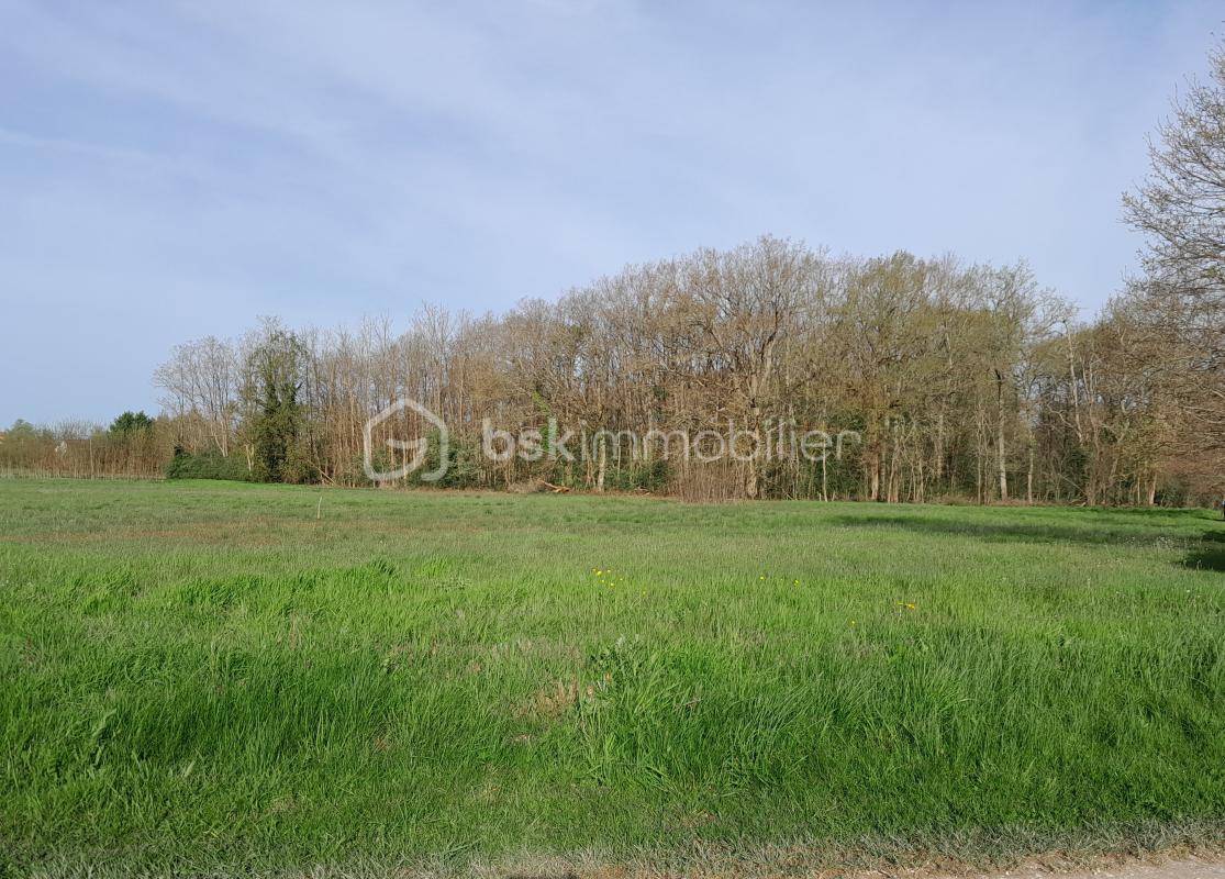 Terrain seul à Charbuy en Yonne (89) de 2600 m² à vendre au prix de 45000€ - 1