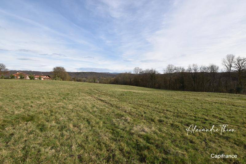 Terrain seul à Neuville-sur-Ain en Ain (01) de 5824 m² à vendre au prix de 25000€ - 2
