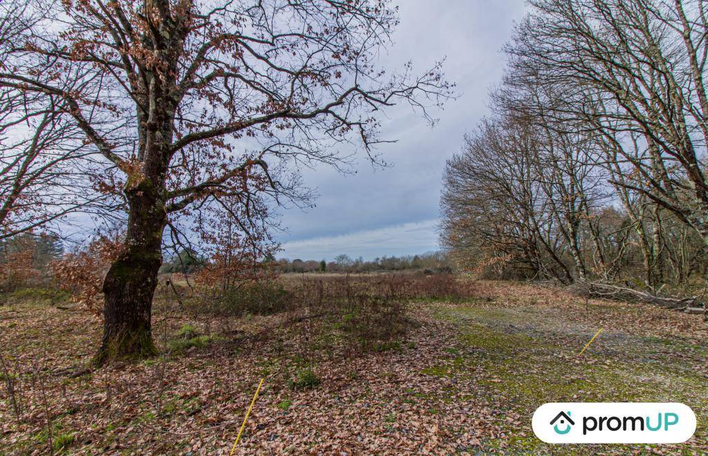 Terrain seul à Montcaret en Dordogne (24) de 8654 m² à vendre au prix de 168000€ - 4