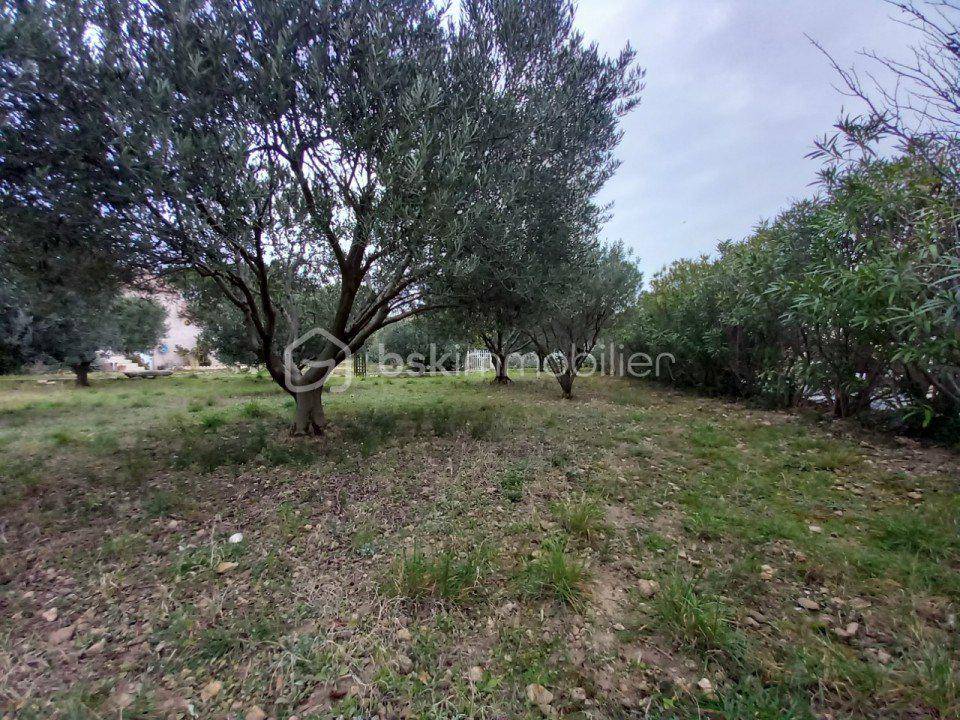 Terrain seul à Saint-Félix-de-Lodez en Hérault (34) de 533 m² à vendre au prix de 165000€ - 4