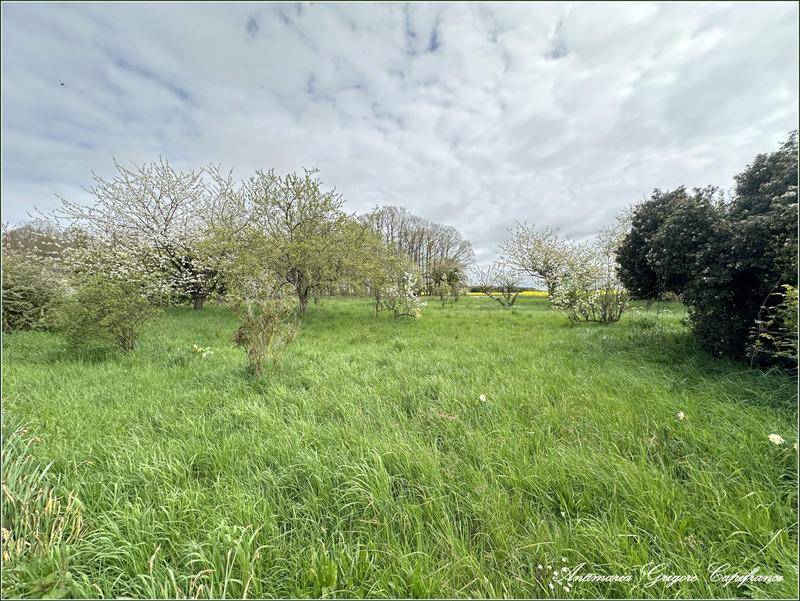 Terrain seul à Favières en Eure-et-Loir (28) de 922 m² à vendre au prix de 50000€ - 2