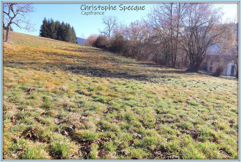 Terrain seul à Chabreloche en Puy-de-Dôme (63) de 2586 m² à vendre au prix de 29000€ - 4