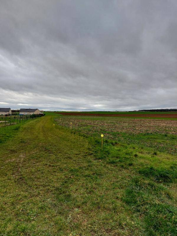Terrain seul à Brécy en Cher (18) de 1496 m² à vendre au prix de 35990€ - 3