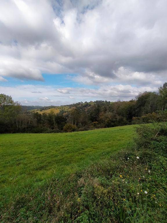 Terrain seul à Sauviat en Puy-de-Dôme (63) de 4580 m² à vendre au prix de 31990€ - 4