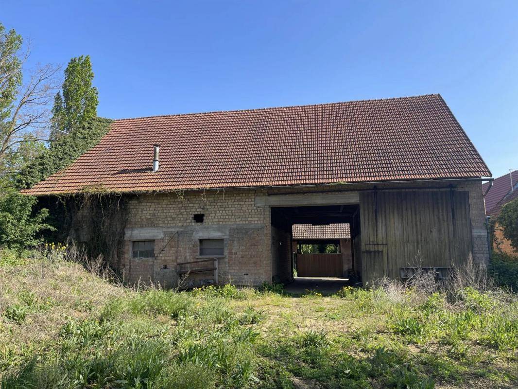 Terrain seul à Berstett en Bas-Rhin (67) de 3180 m² à vendre au prix de 559000€ - 4