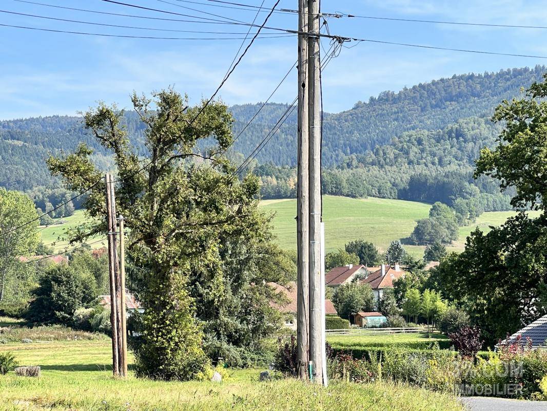 Terrain seul à Saint-Dié-des-Vosges en Vosges (88) de 5455 m² à vendre au prix de 156000€ - 3